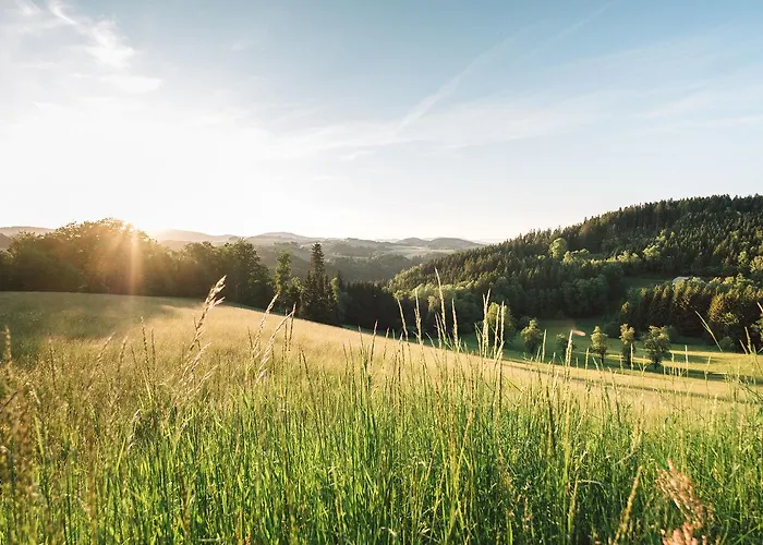 Otel Kleebauer Biohof & Hotel 4*